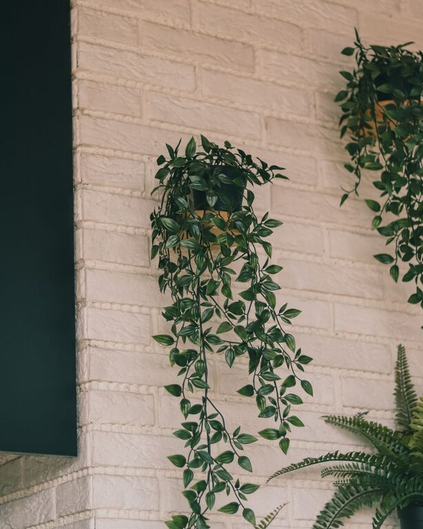 How to Refresh Your Home with Plants: Easy Tips for a Greener Space